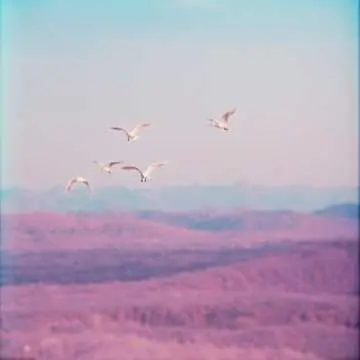 Song - Flying in love (trance) for project Feel Heat Beat by Vitaly Semenov Multi-colored