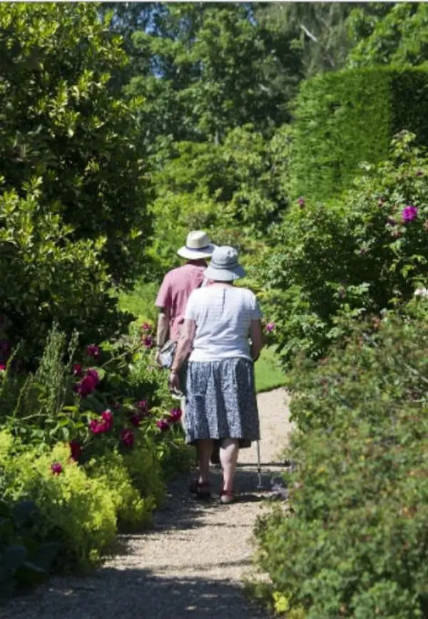 Старик со старухой в белых шляпах уходя по тропинке среди цветов