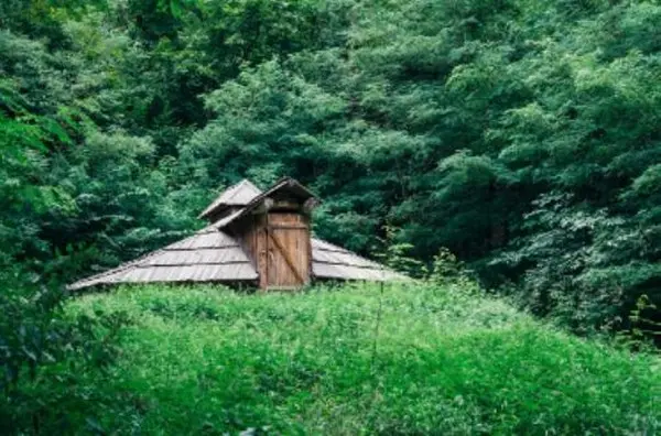 Крыша маленького домика в летнем лесу